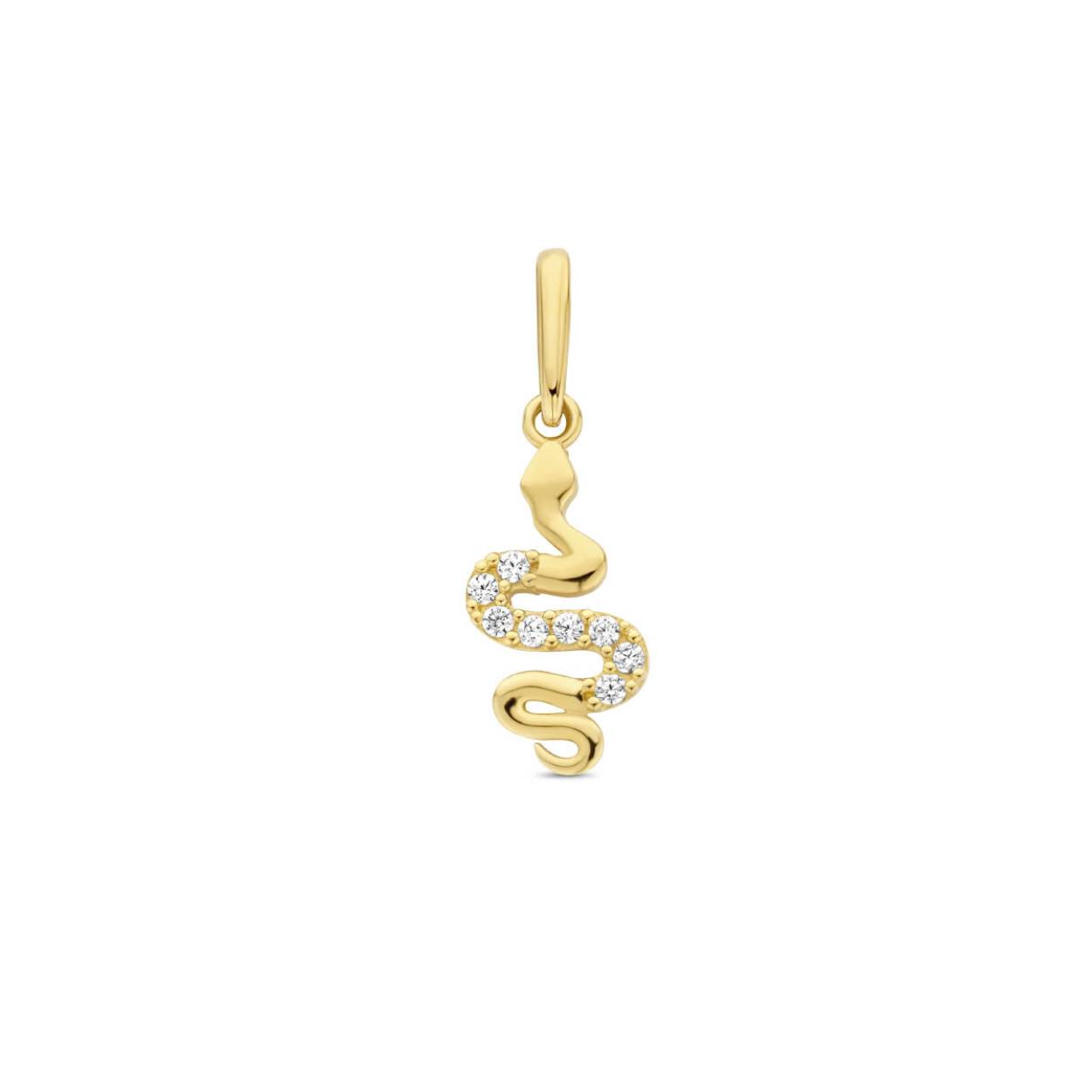 14k Geelgouden hanger met een slang voorstelling en schitterende zirkonia. De hanger heeft een totale hoogte van 17mm.

