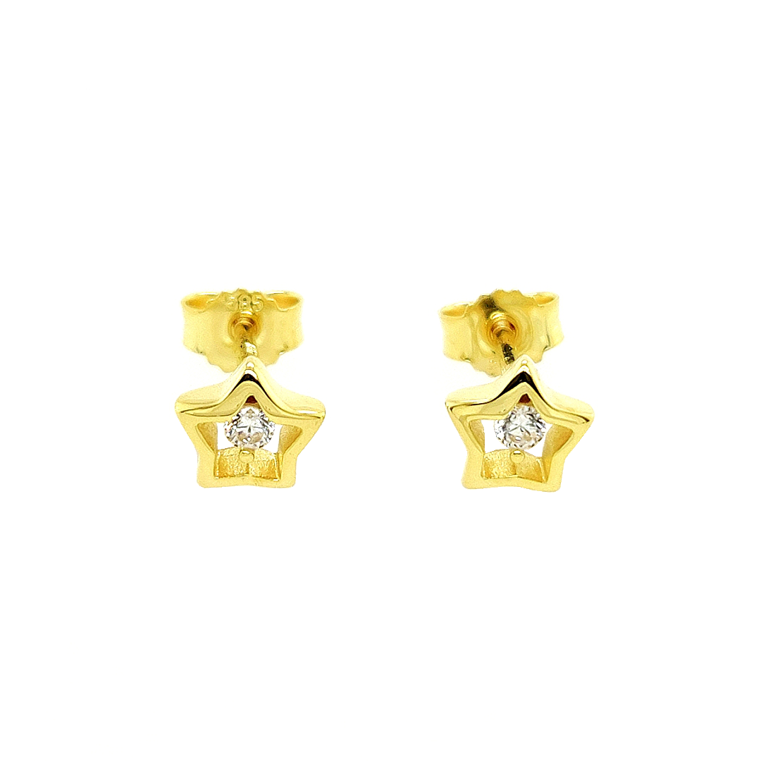 Deze geel gouden oorstekers hebben de vorm van een ster en ieder een briljant geslepen zirkonia steen in zich gezet. De combinatie met de zirkonia steen zorgt voor een sprankelend uiterlijk.