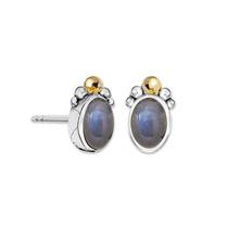 Oorknop - Golden Shadow
72205813 - Zilver met 14 kt. goud
Deze sterling zilveren oorknopjes bevatten een 7 x 5 mm cabochon labradoriet steen afgewerkt met een 14 kt. gouden balletje.