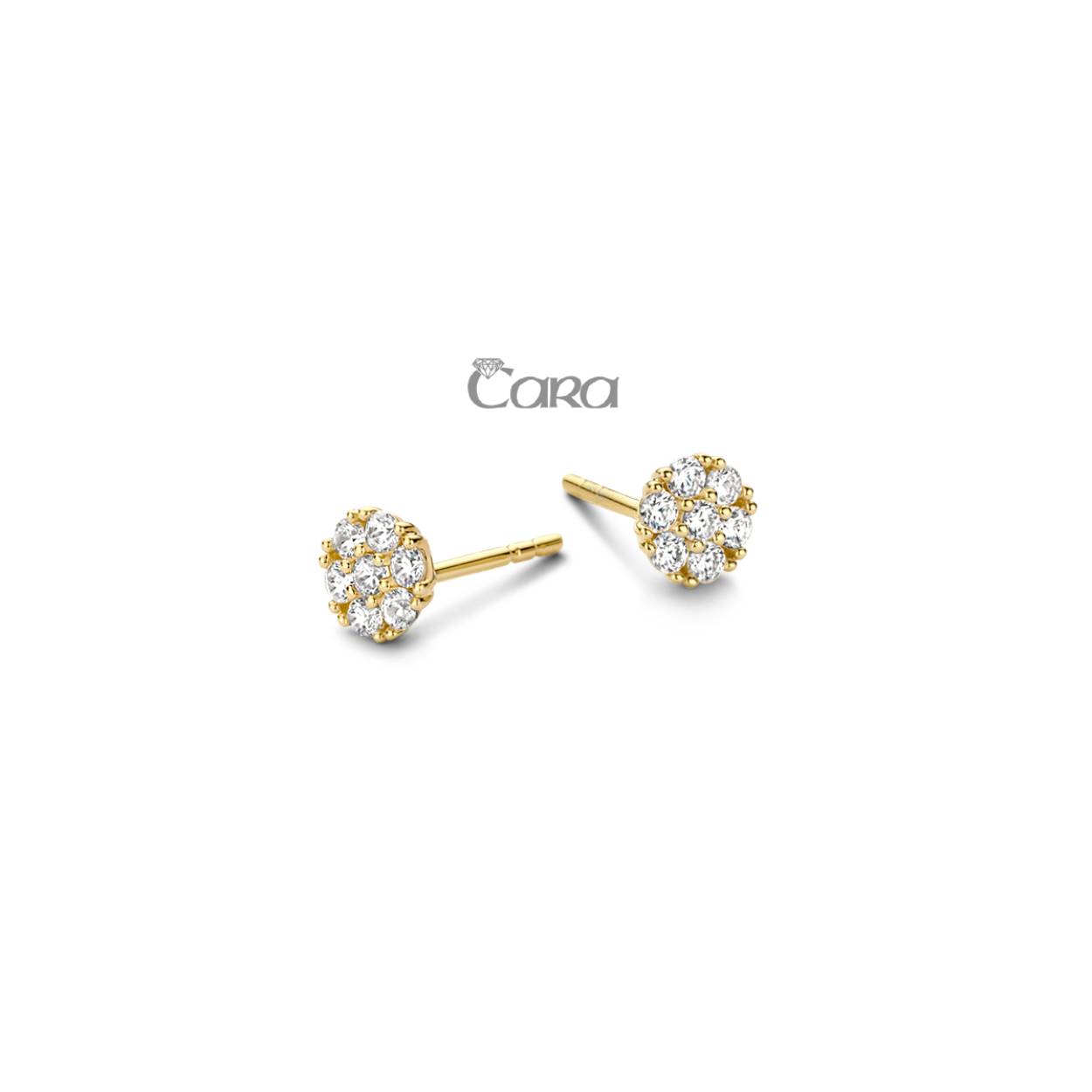 Cara Oorstekers goud 18k CA363