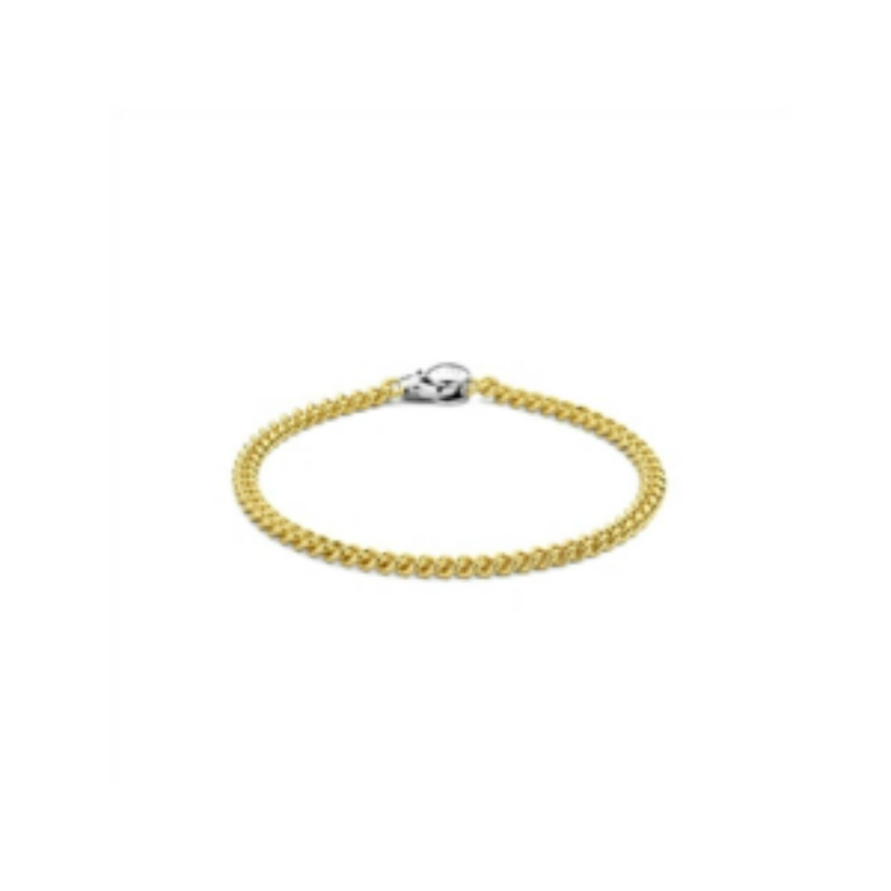 ZIlver vergulde armband