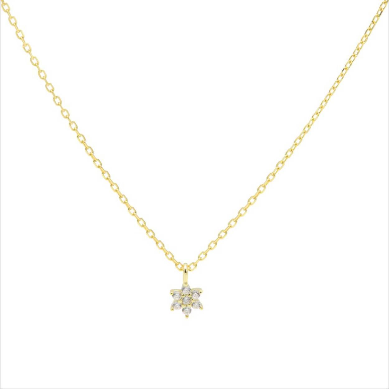 Zilveren hanger fantasie entourage hanger cz incl collier