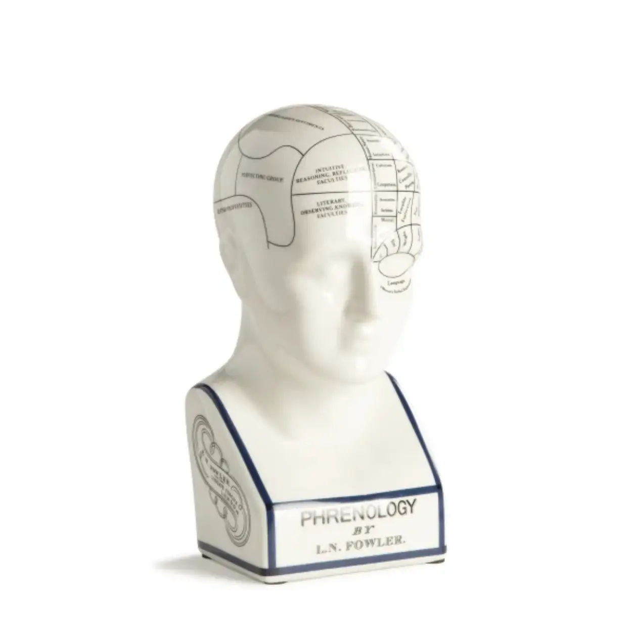 Authentic Models Phrenology Head Small