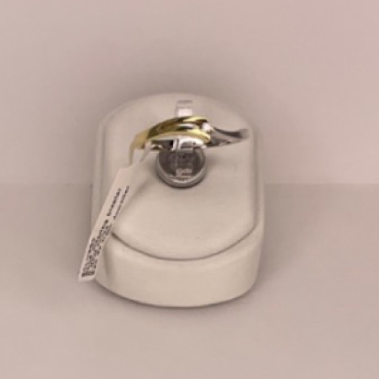 BICO V-SLAG RING 1X 0.02 CRT TW-VVS/VS