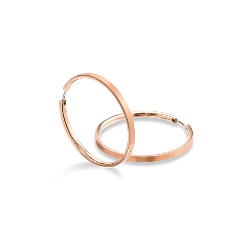 Dit zijn oorsieraden van het merk Boccia Titanium