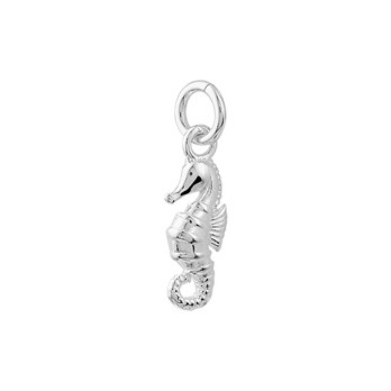 zilveren hanger uitgevoerd in de vorm van een zeepaard. De hanger heeft een totale hoogte van 2.1cm en een breedte van 6mm.