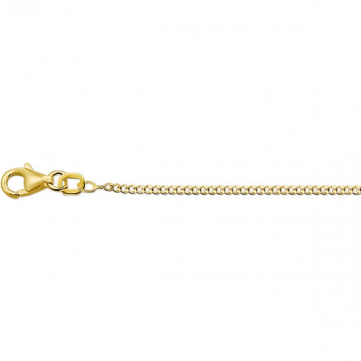 De collectie van Fjory onderscheidt zich door de unieke productiemethode van de sieraden. Alle sieraden van Fjory zijn gemaakt van 14 karaats goud, met een kern van eerste gehalte zilver waardoor het collier massief is. Daardoor kan een Fjory sieraad niet of nauwelijks indeuken. Top kwaliteit lengtecollier in een gourmet schakel voorzien van een `585' 14krt goud keurteken en een `925' zilver keurteken. Het collier is 1,4mm breed en 45cm lang maar ook op ander breedte- en lengtematen verkrijgbaar.