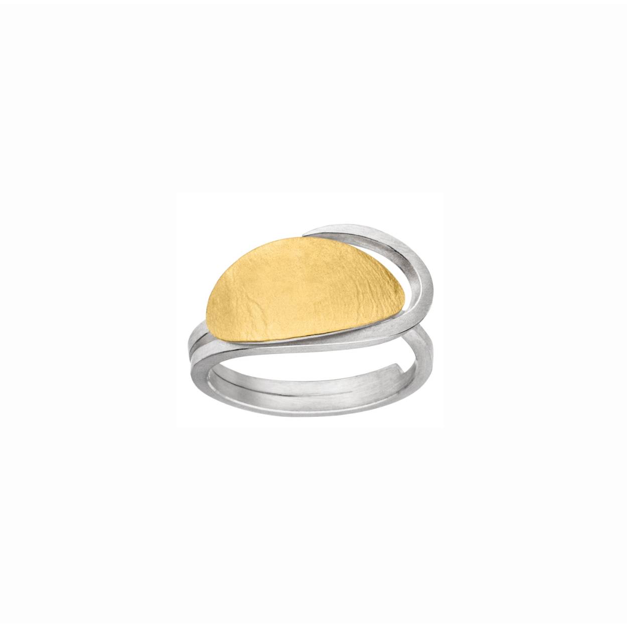 Ring zilver/goud