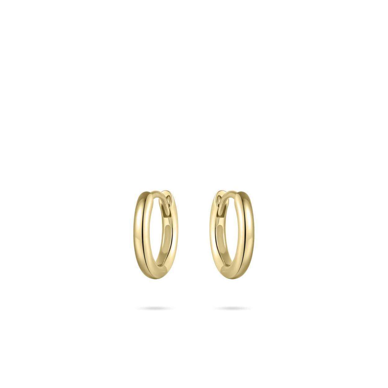 oorringen zilver