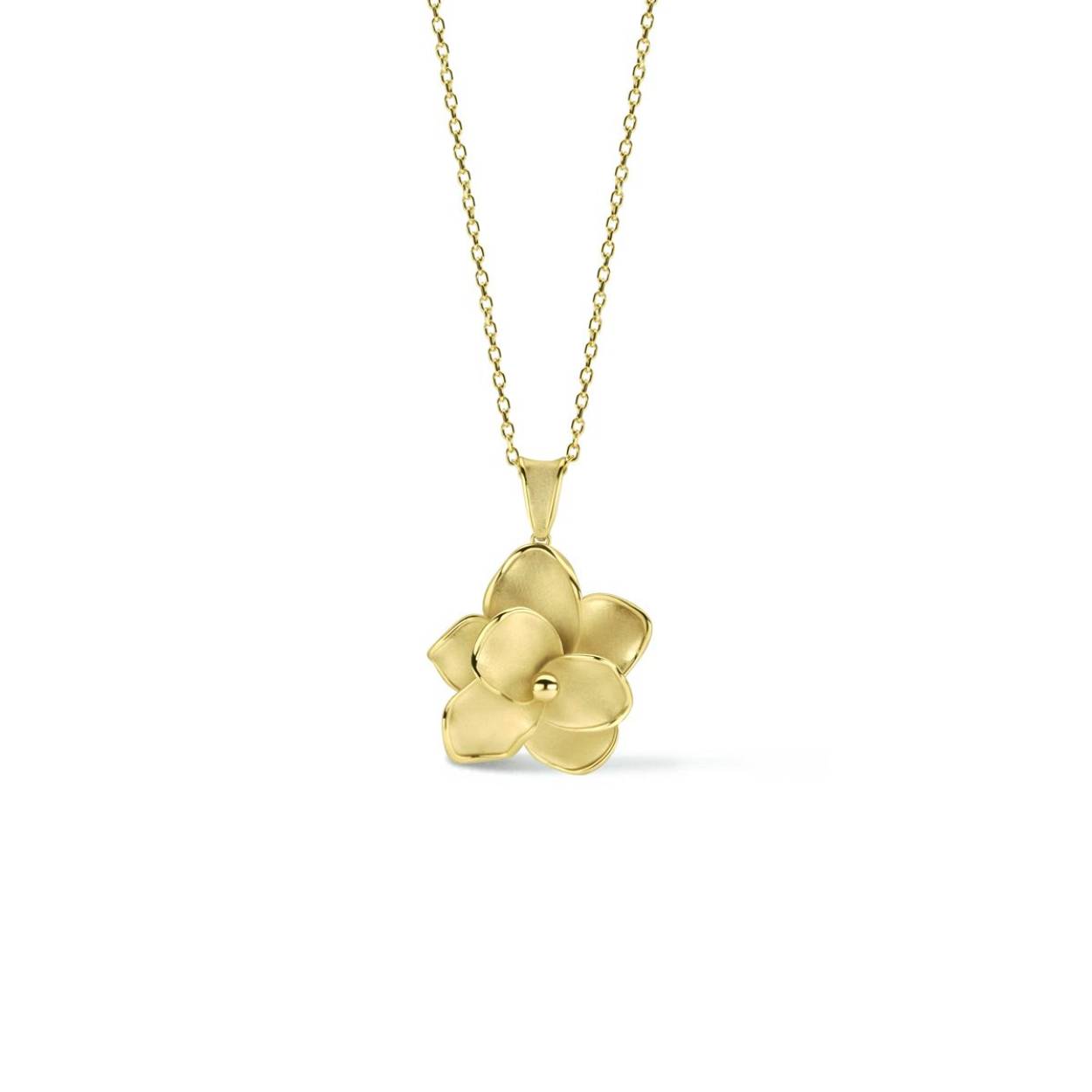 14k Geelgouden collier uitgevoerd met een hanger in de vorm van een bloem en een karabijn sluiting. Het collier heeft draaglengtes van 42 en 45cm. De schakelbreedte is 1.4mm.