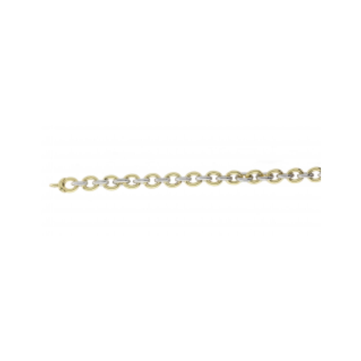 Fjory - Bicolor geel/witgouden anker armband 6mm met zilveren kern 19cm