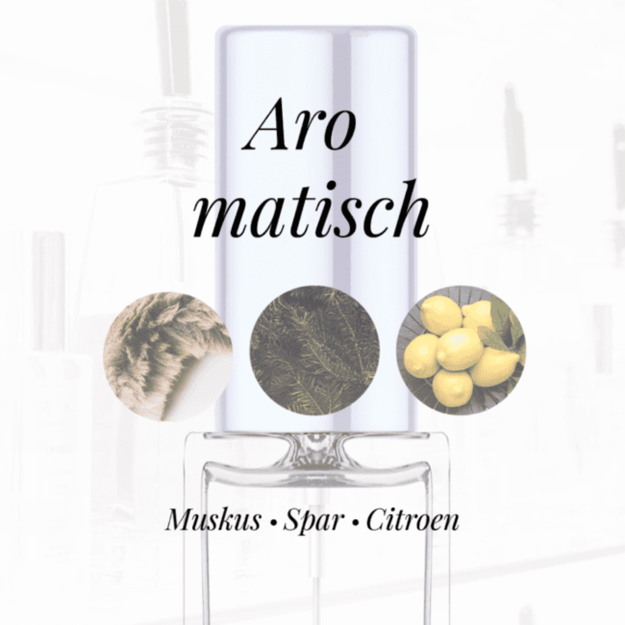 Eigenschappen
Geur: Aromatisch
Waarneembare geuren: Citroen, Muskus, Spar
Sillage: Zwaar
Seizoen: Lente/Zomer
Eigenschap: Spontaan
Stijl: Sportief
Geurgroep: Houtachtig Aromatische
Hoofdakkoorden: Houtachtig, Aromatisch, Citrusvruchten, Muskachtig, Fris kruidig
Top noten: Petitgrain olie, Kardemom, Citroen, Sinaasappel en Spar
Midden noten: Jasmijn, Rozemarijn, Roos en Lelietje-van-dalen
Basis noten: Vetiver, Muskus, Eikenmos en Braziliaans rozenhout