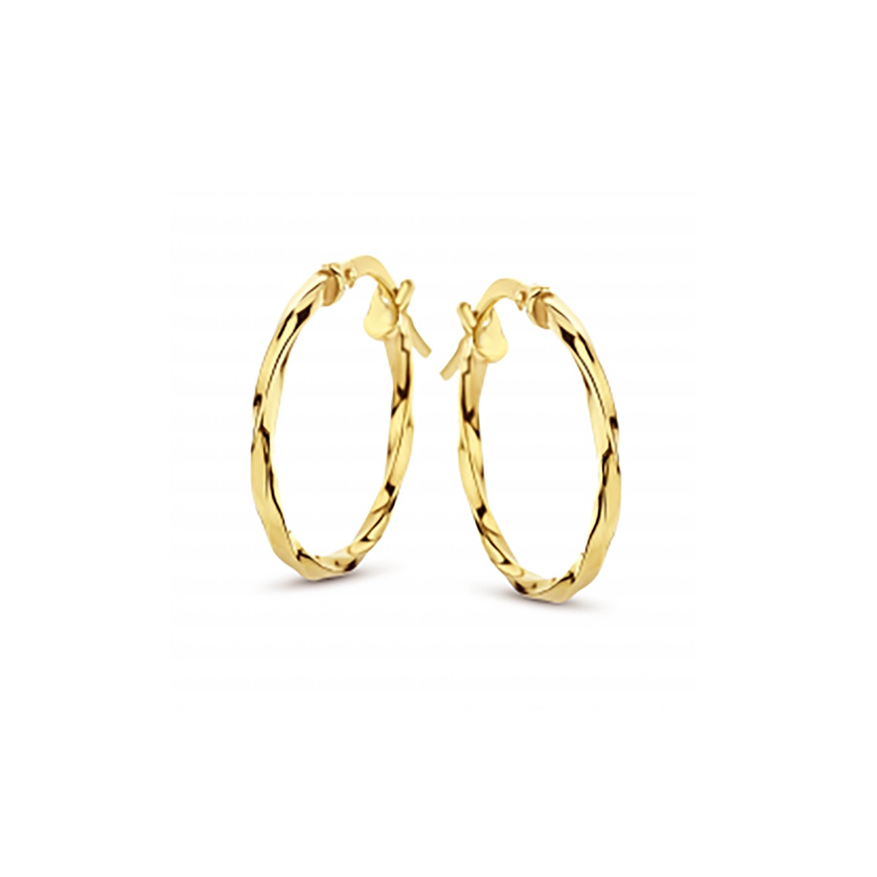 Fjory oorring Getorst 10mm.
De geelgouden sieraden van Fjory hebben een zilveren binnenkern.