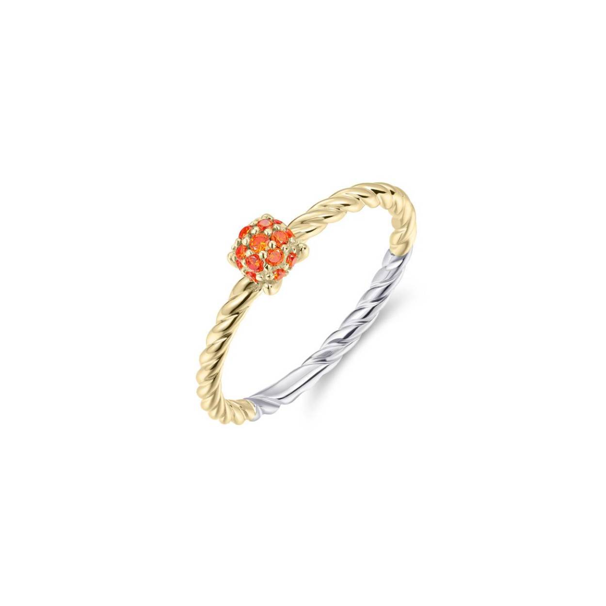 Gisser Zilveren verguld ring
