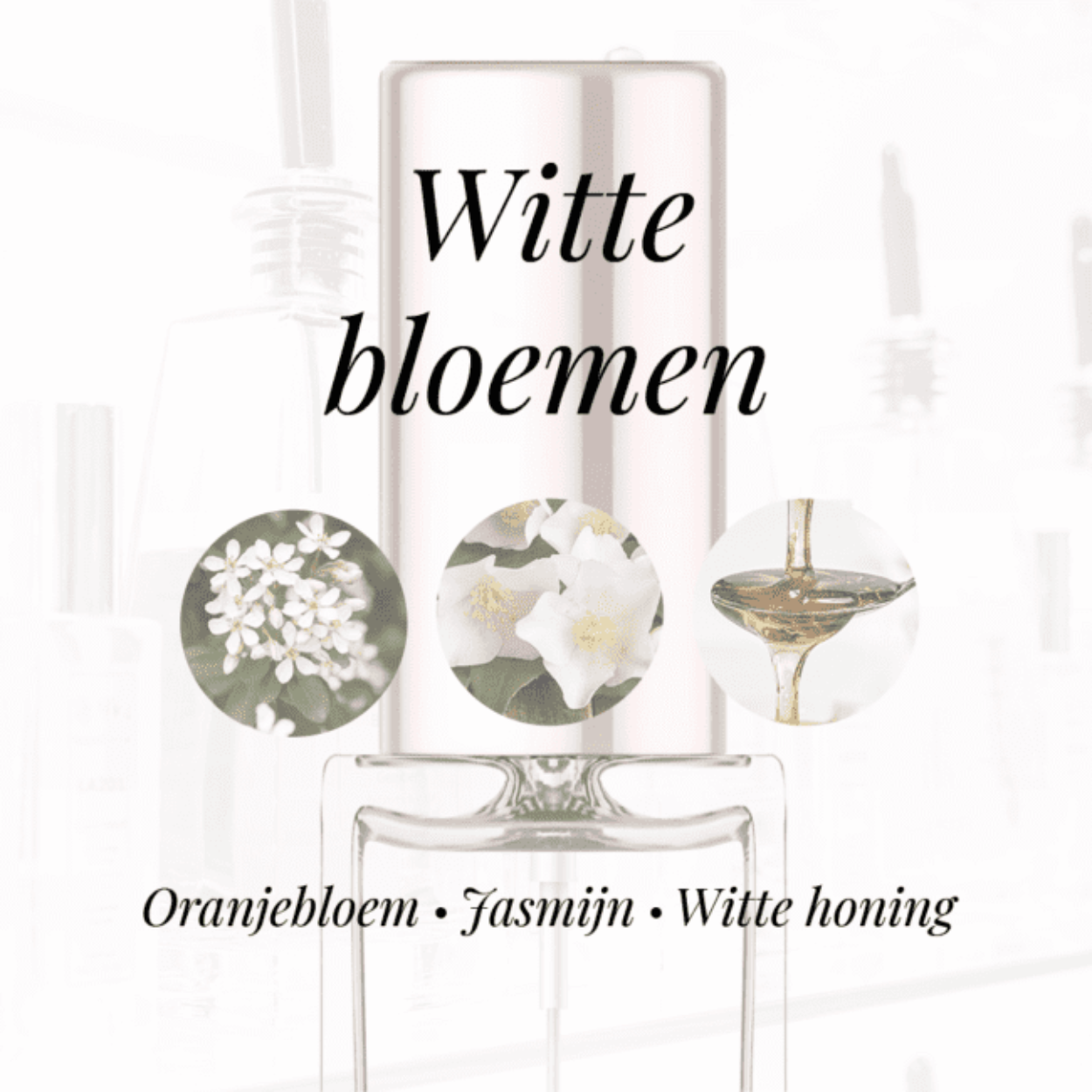 Eigenschappen
Geur: Witte bloemen
Waarneembare geuren: Jasmijn, Oranjebloem, Witte honing
Sillage: Zwaar
Seizoen: All season
Eigenschap: Charmant
Stijl: Elegant
Geurgroep: Bloemige
Hoofdakkoorden: Witte bloemen, Honing, Zoet, Patchouli, Citrusvruchten
Top noten: Afrikaanse Oranjebloem
Midden noten: Jasmijn
Basis noten: Patchouli, Ceder uit Virginia, Roos en Witte honing