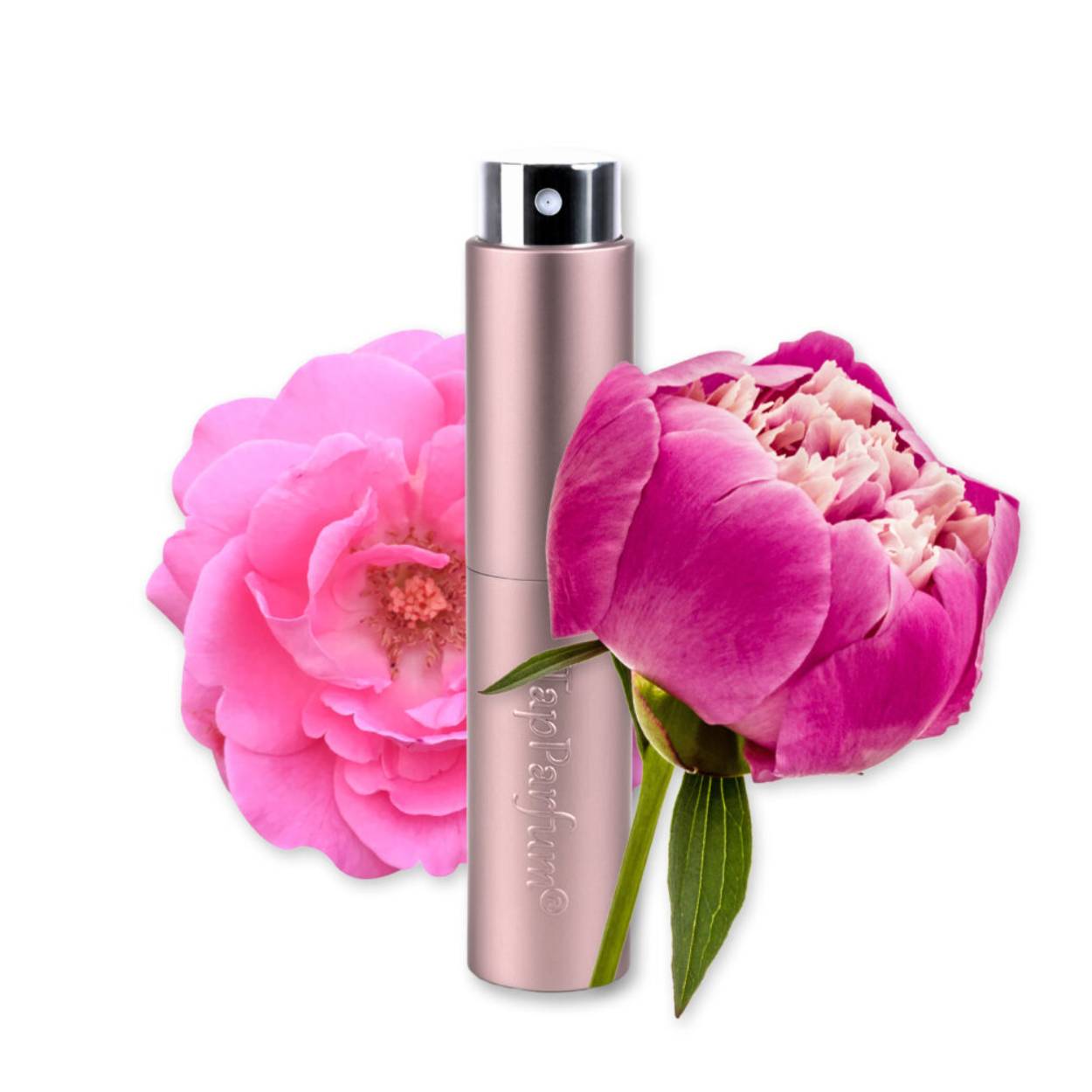 LA196 is een dames parfum die in de Bloemig categorie valt met het hoofdakkoord roos. De duidelijkst waarneembare geurnoten zijn pioenroos, damaskroos en . Het sillage van dit dames parfum wordt omschreven als licht. 

De stijl die het beste de LA196 omschrijft is casual en de eigenschap van dit parfum kan het beste omschreven worden als lief.