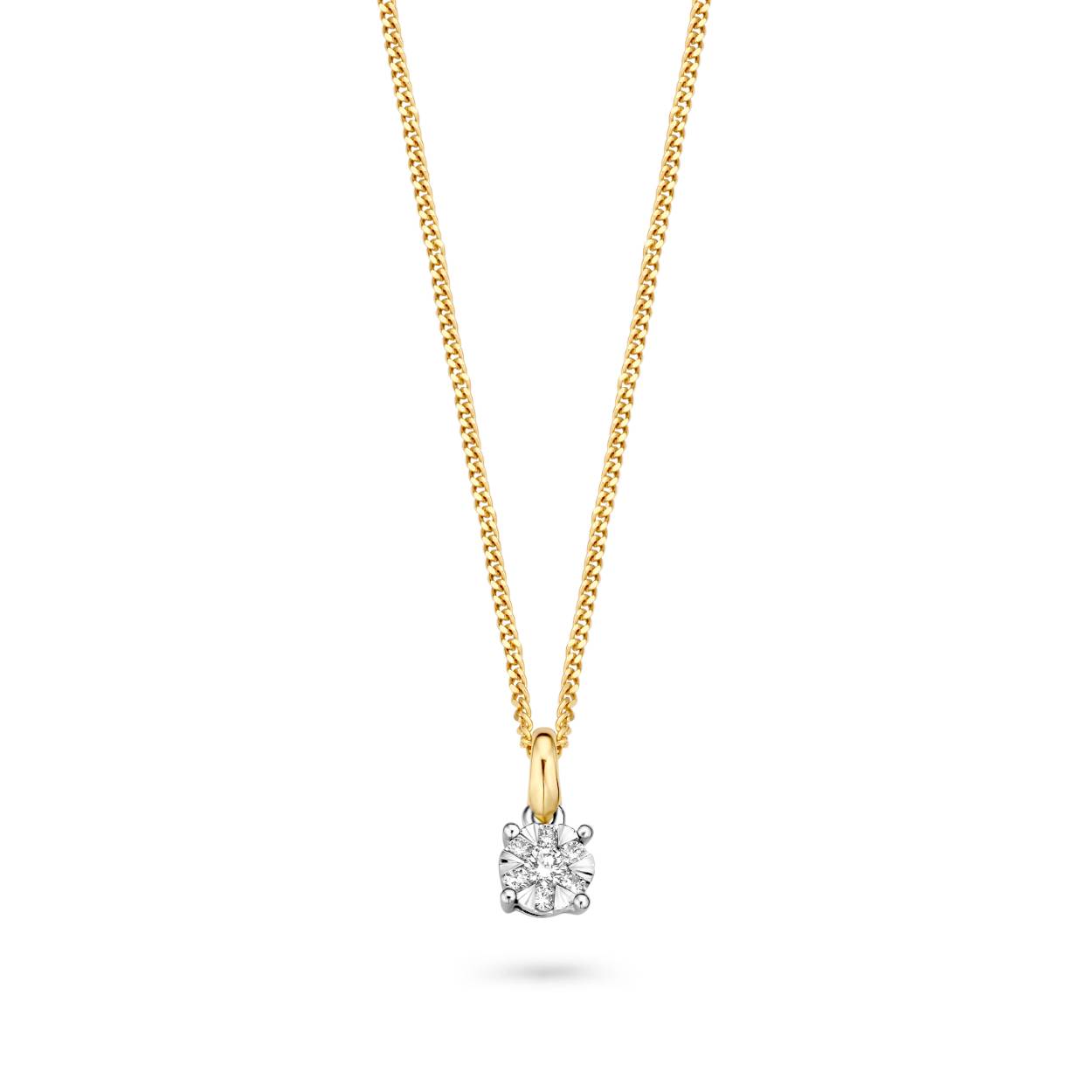 geel-witgouden hanger met diamant exclusief collier