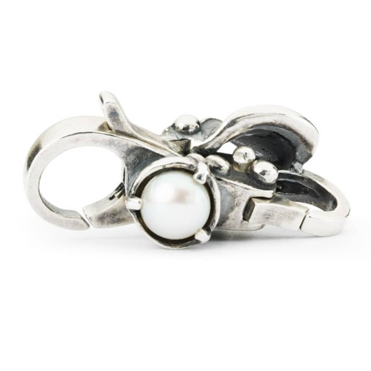 Verborgen schoonheid slotje Trollbeads TAGLO-00094