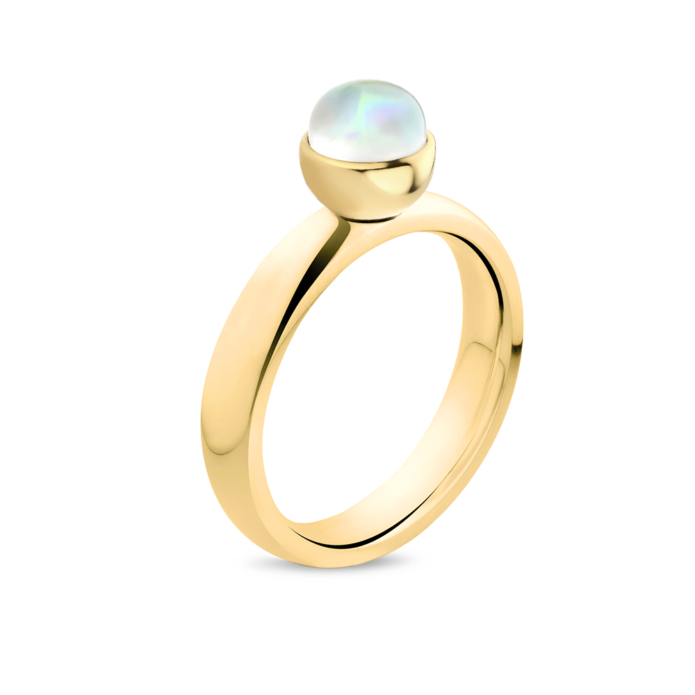 Melano ring uit de Twisted collectie  is voorzien van een verwisselbaar concept, zodat jij deze kan matchen met ieder Twisted steentje. Verder zorgt het edelstaal met ion-plating voor jarenlang draagplezier.

Let op! Steentje(s) zijn niet inbegrepen. Combineer met Twisted Meddy.

Levertijd 2-4 dagen.