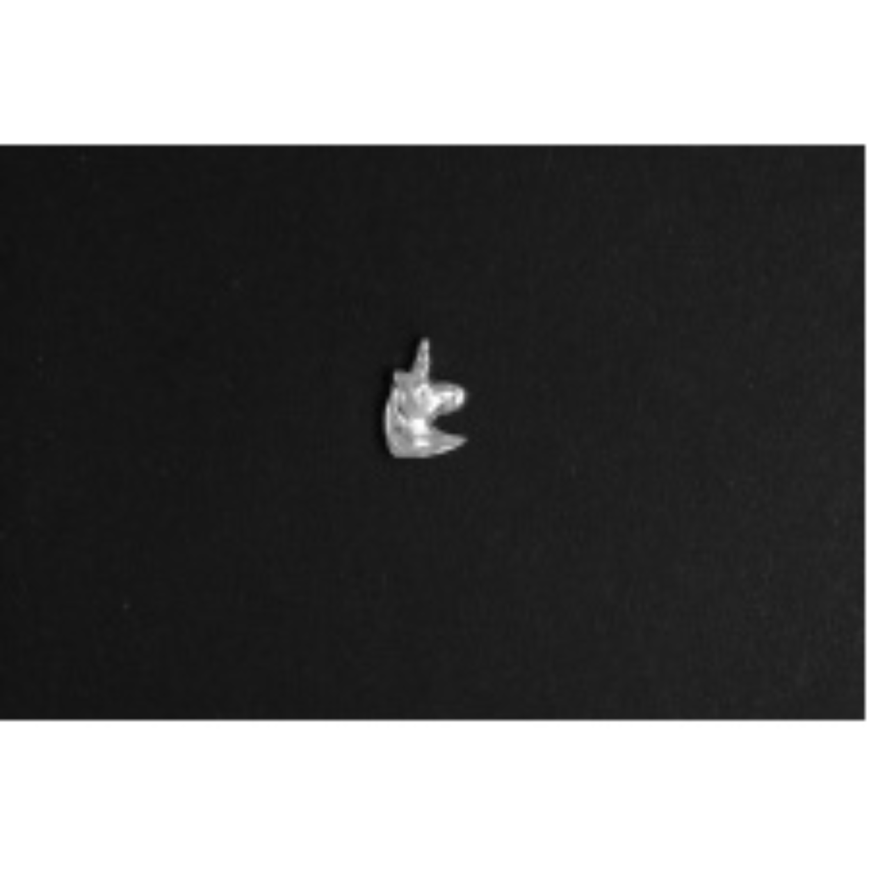 Unicorn oorstekers 537146Z