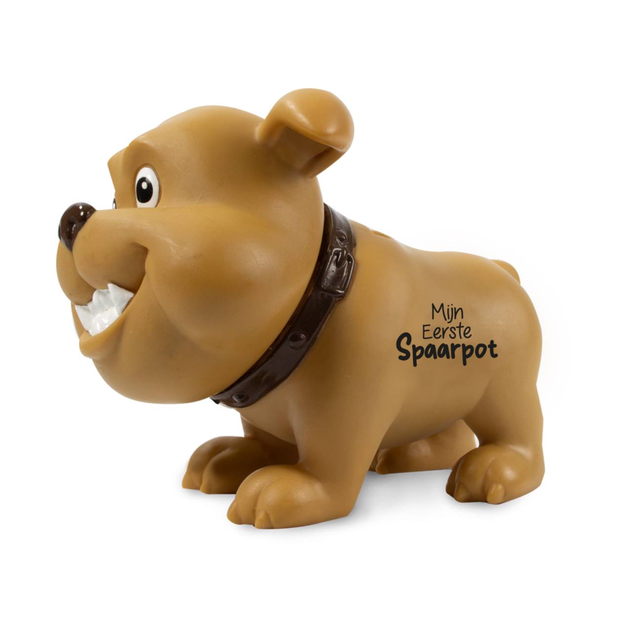 Sparen is iets van alle tijden, van alle leeftijden en van alle landen. Daarom is een spaarpot altijd een leuk cadeau om te geven én om te krijgen.

Natuurlijk is een spaarvarken de meest herkenbare spaarpot, maar wie kan er nóg beter over het geld waken dan een heuse spaar-waakhond? Of natuurlijk een superlieve en grappige spaar-koe?