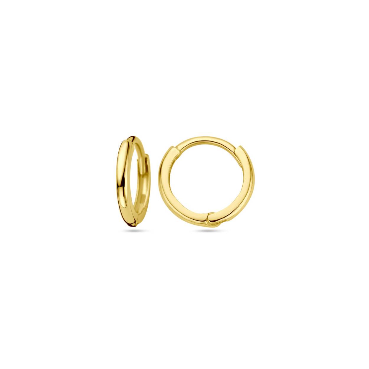 14k Geelgouden klapoorringen met een afmeting van 9.5x1.5mm.