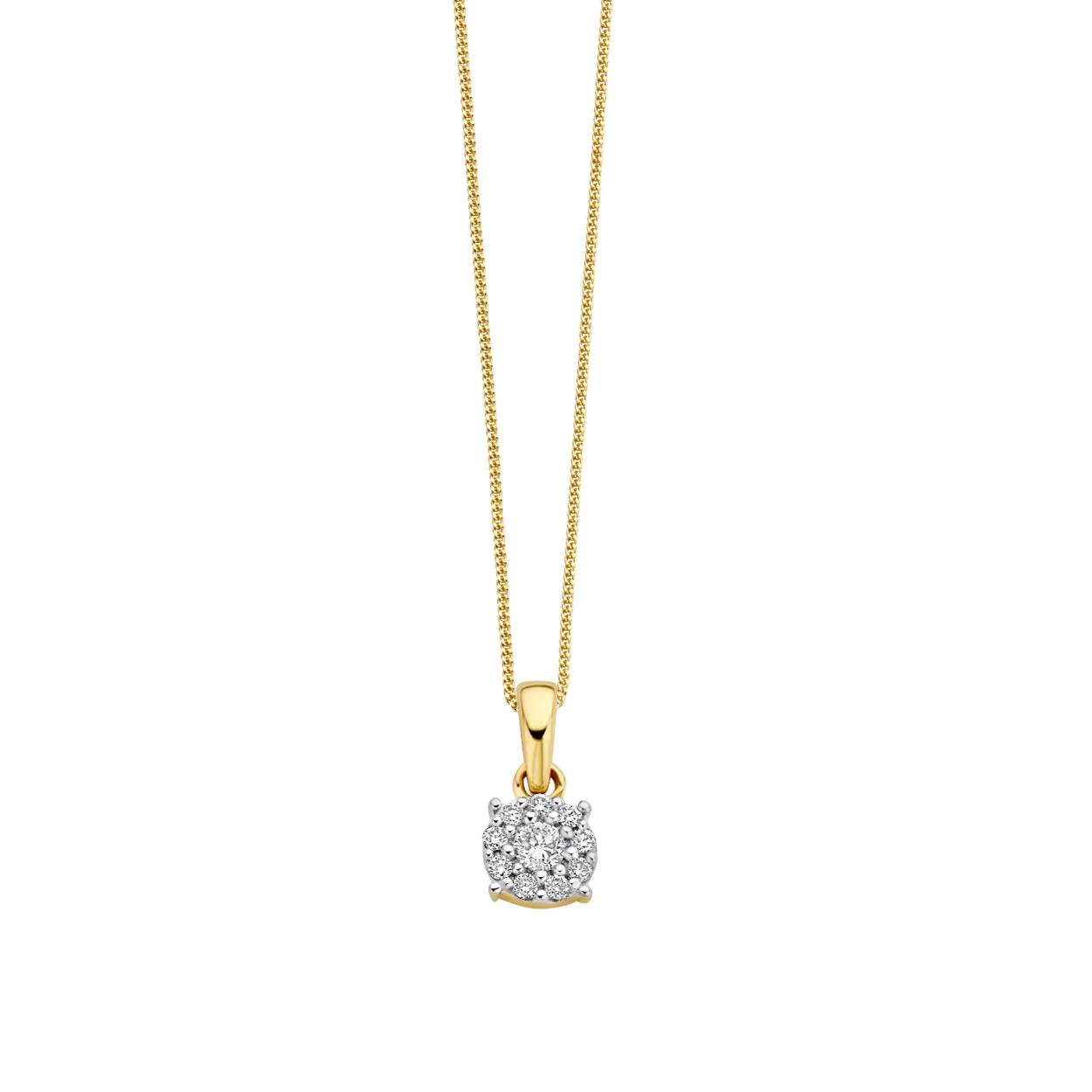 18 kt gouden hanger met diamant: 0,08 ct
Exclusief ketting