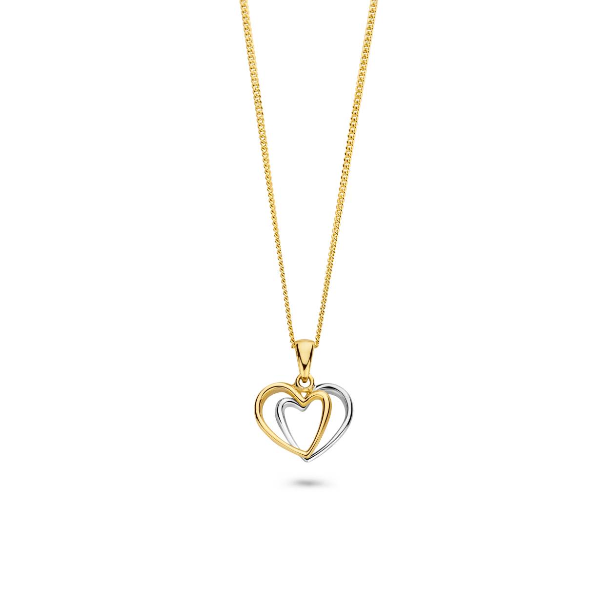 14 karaat gouden hanger in wit en geelgoud