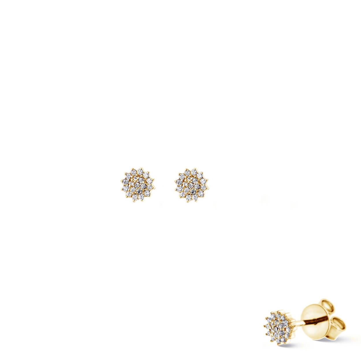 Naiomy Gold Oorstekers goud 18k, gezet met 
38 diamanten 0.120 ct