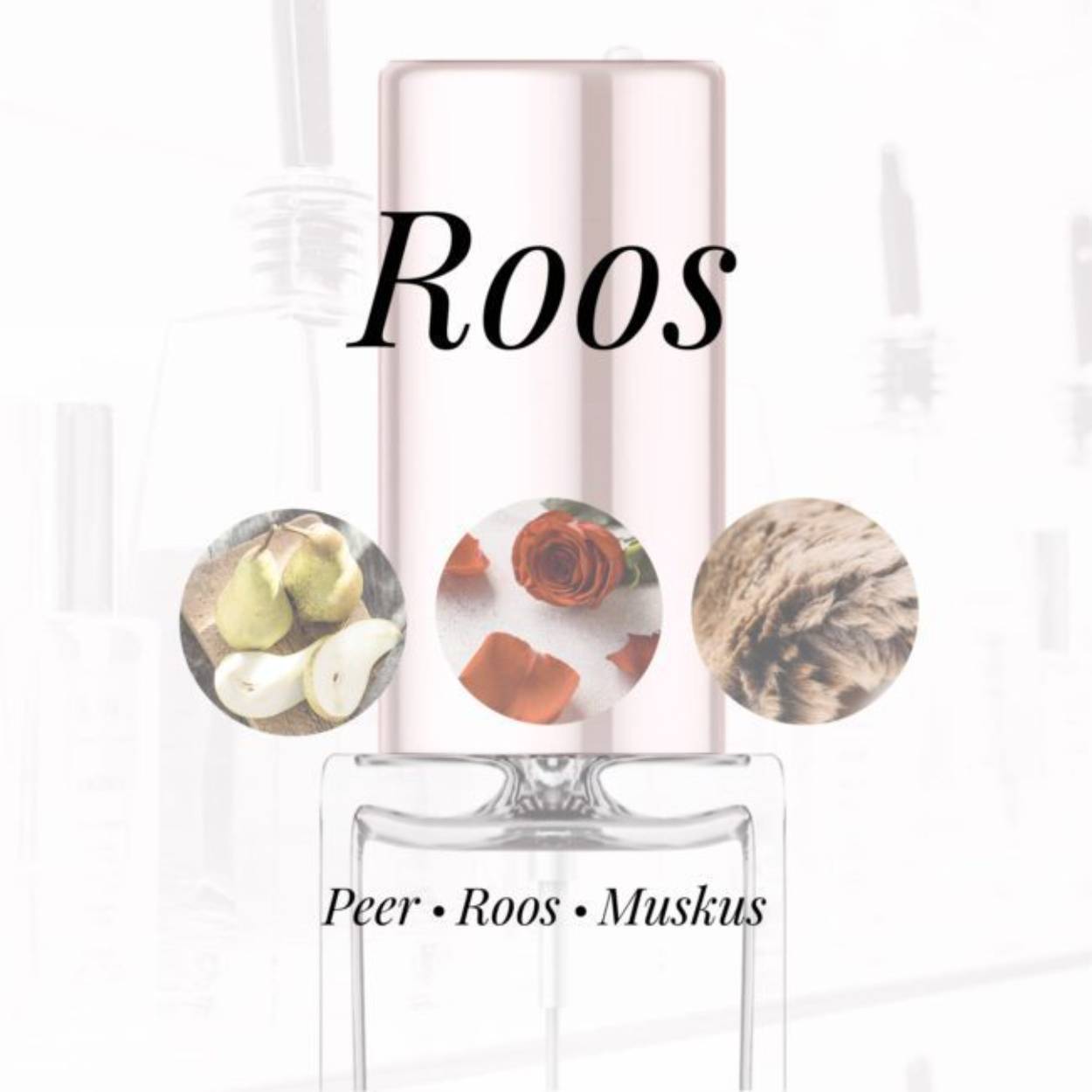 GEUR: ROOS 
Eigenschappen
Geur: Roos
Waarneembare geuren: Peer, Roos, Muskus
Sillage: Midden
Seizoen: Lente/Zomer
Eigenschap: Populair
Stijl: Trendy

Geurgroep: Roos
Hoofdakkoorden: Roos, Muskusachtig, Bloemig, Fruitig, Witte bloemen, Zoet
Top noten:Bergamot en Peer
Midden noten: Turkse roos, Provencaalse roos, Indiase Jasmijn
Basis noten: Witte Musk, Vanille
 