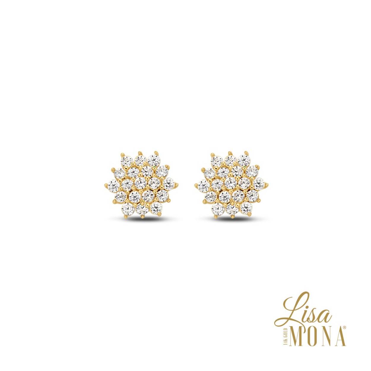 Lisa Mona oorstekers 14kt hexagon zirconia