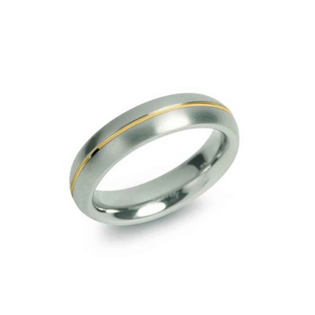 Titanium ring met double rand in het midden