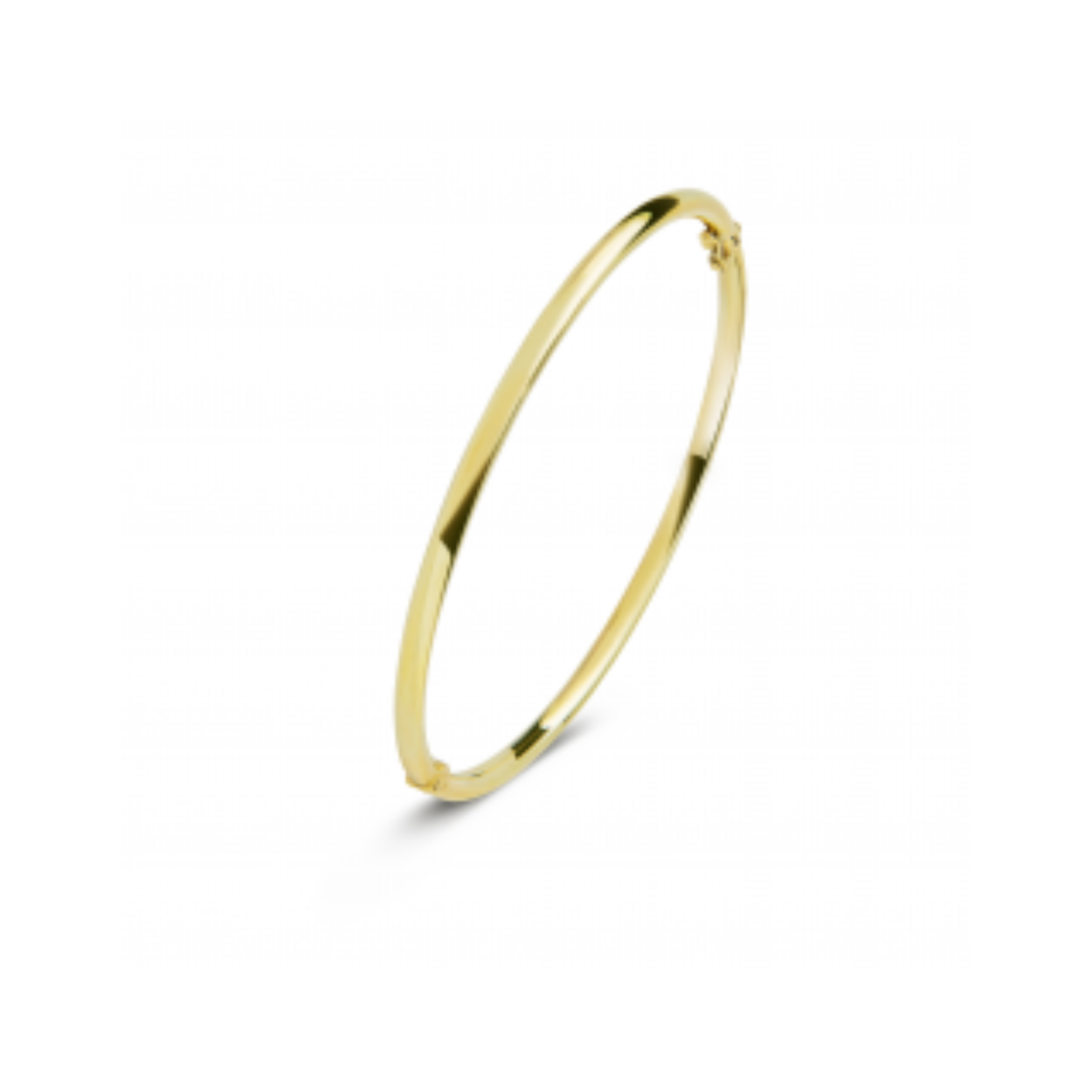 Fjory Bangle rond 4mm/ 61mm polsmaat.