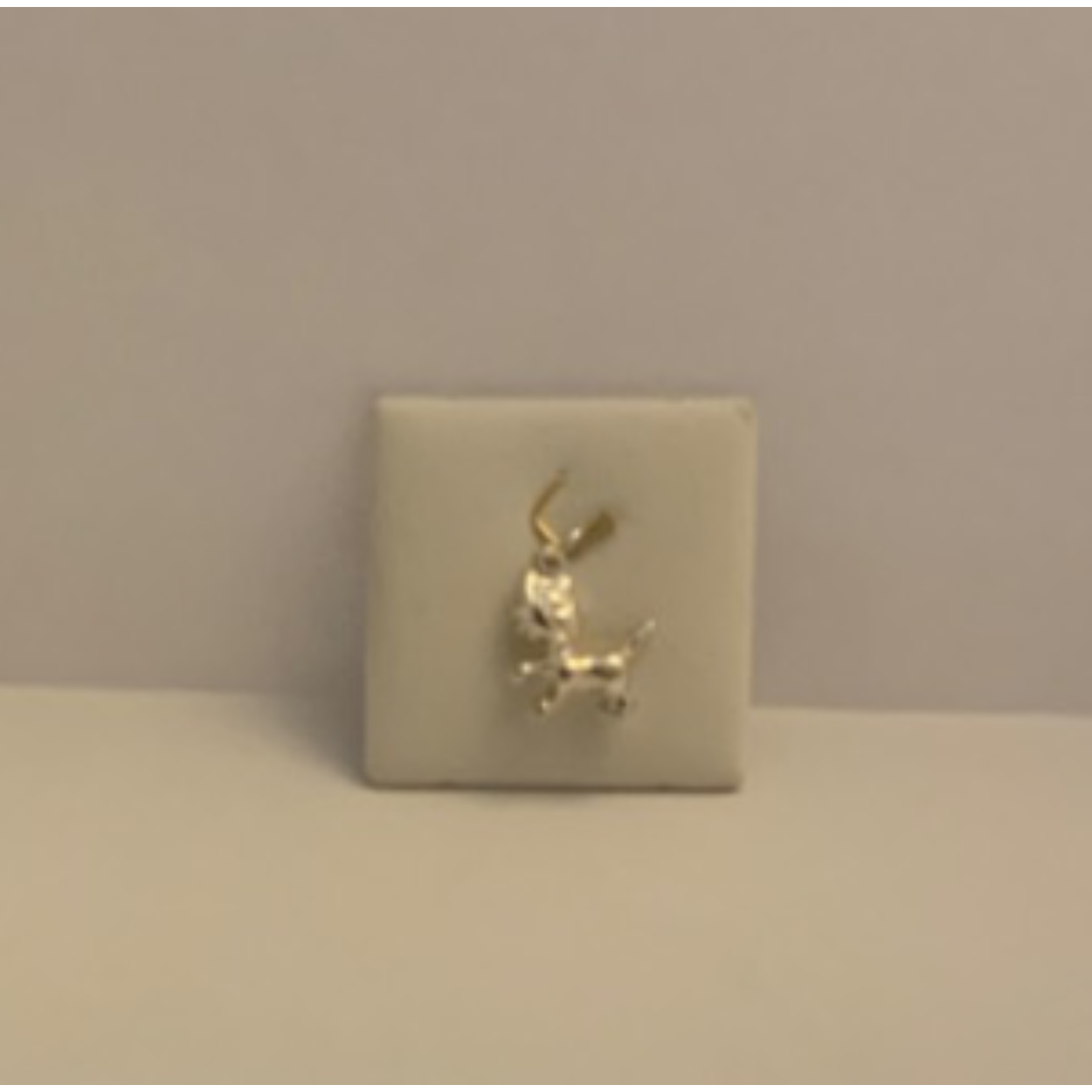 Poezen bedel/hanger