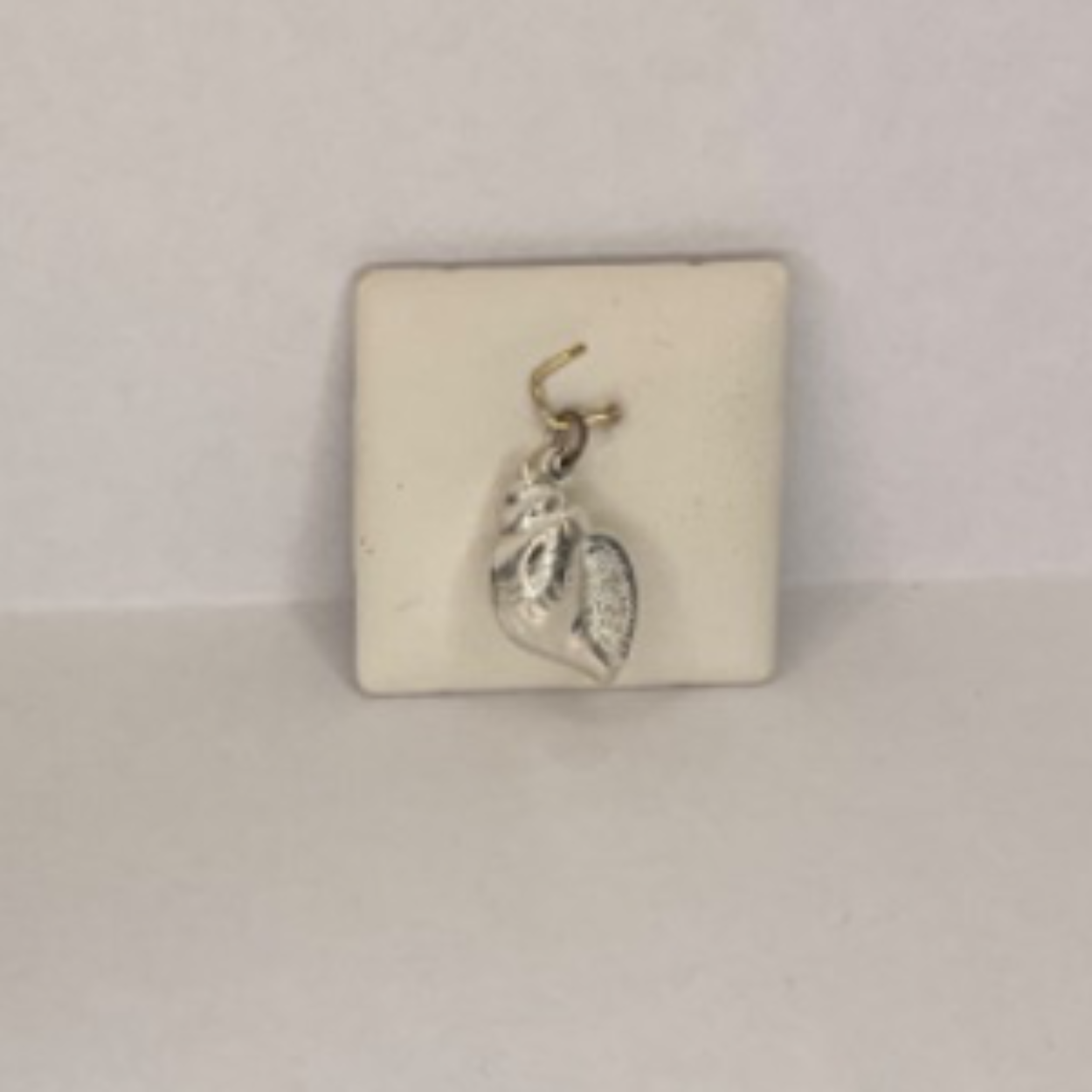 Zilveren bedel schelp