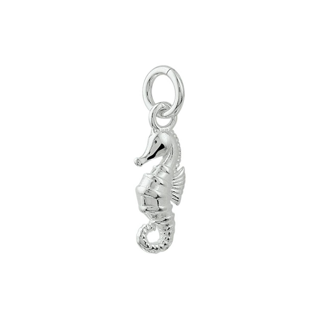 Zilveren Hanger/ Bedel Zeepaard