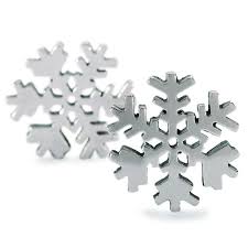 Sneeuwvlok tagea-20008