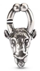 STERRENBEELD STIER