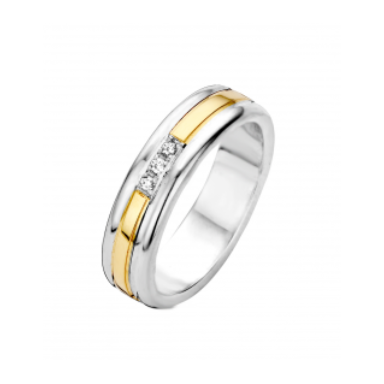 Fjory ring 0.01crt Goud met zilver maat 18 | 41R121806