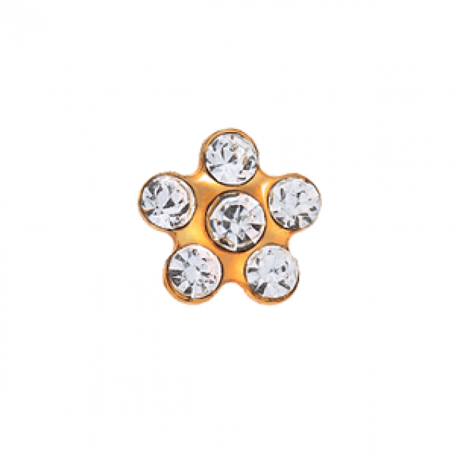 Studex oorbellen 7511-6004 | gold plated Daisy April crystal (153)
Prijs per stuk 