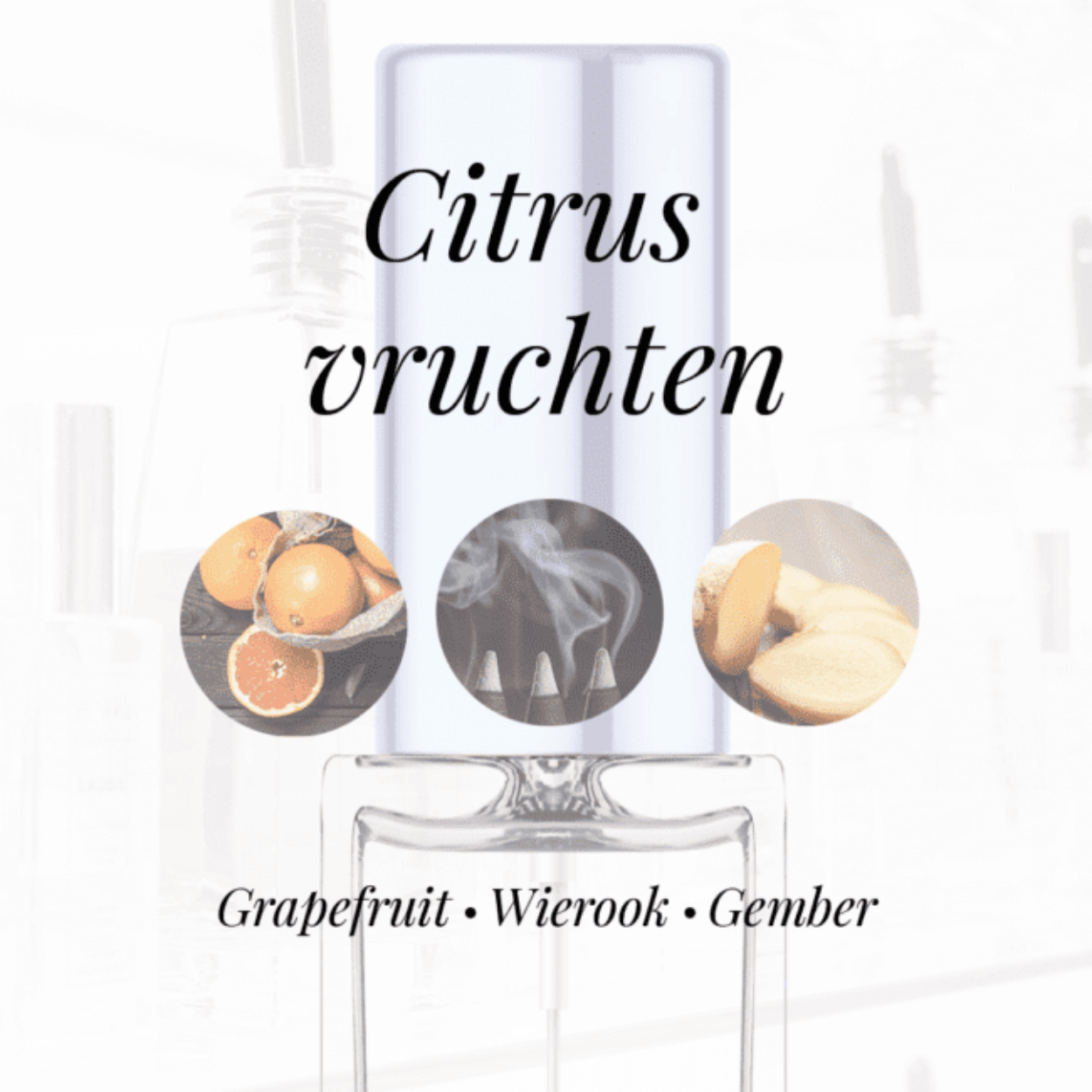Eigenschappen
Geur: Citrusvruchten
Waarneembare geuren: Gember, Grapefruit, Wierook
Sillage: Midden
Seizoen: Lente/Zomer
Eigenschap: Chic
Stijl: Casual
Geurgroep: Houtachtig Aromatische
Hoofdakkoorden: Citrusvruchten, Fris kruidig, Balsemachtig, Houtachtig, Groen
Parfum noten: Labdanum, Nootmuskaat, Gember, Sandelhout, Patchouli, Munt, Jasmijn, Grapefruit, Citroen, Vetiver, Wierook, Ceder en Roze peper