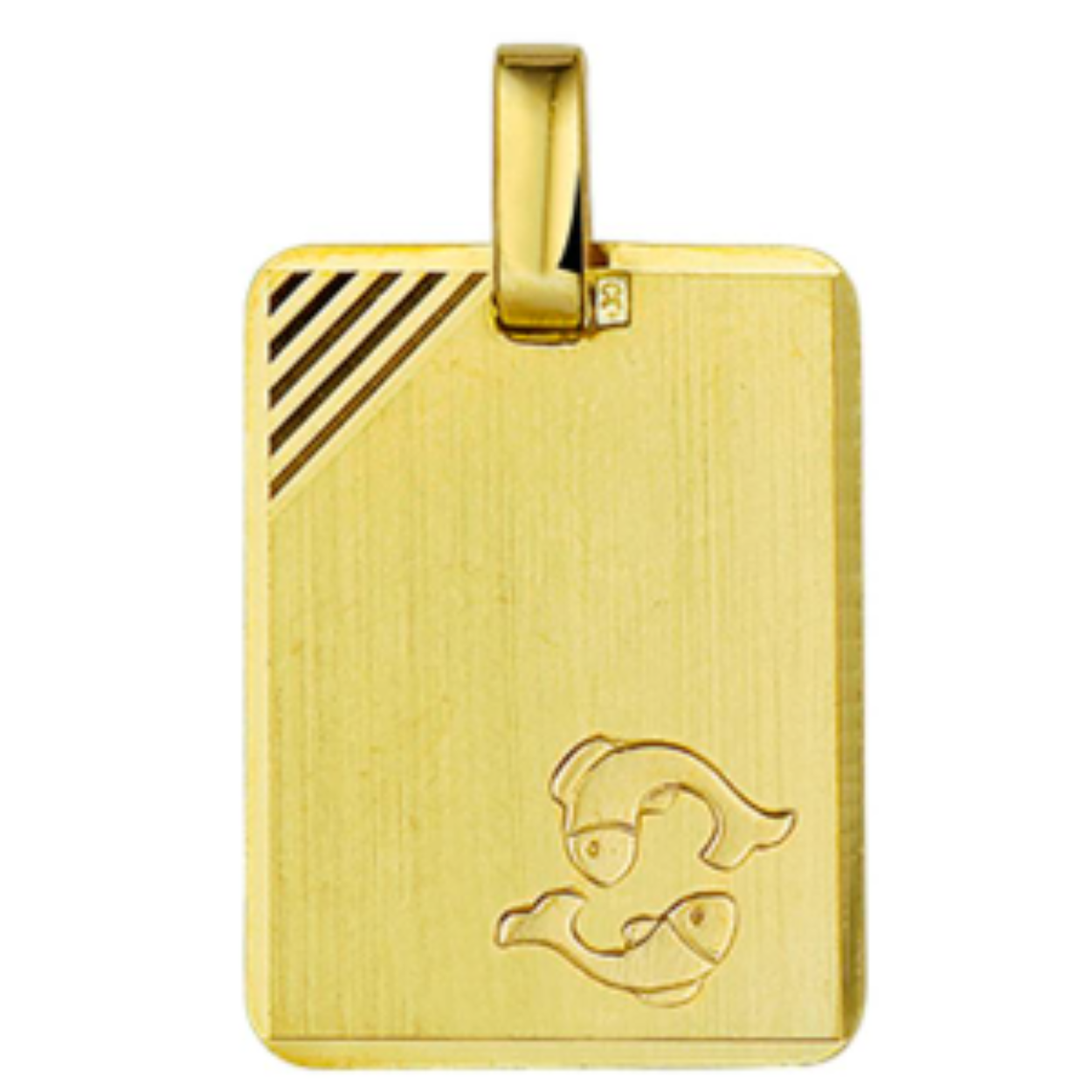 Goud graveerplaat rechthoek met sterrenbeeld vissen 19x14 mm.