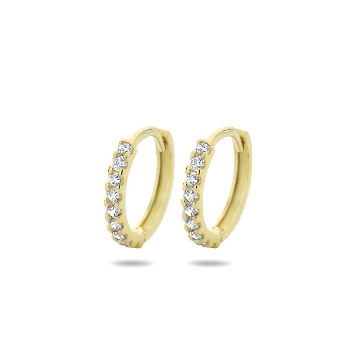 materiaal 14k geelgoud
afwerking gepolijst
steensoort zirkonia
slijpvorm briljant
steenkleur transparant
zetwijze rijzetting
circa metaalgewicht (g)1.35
breedte (mm)1.5
diameter (mm)14.5