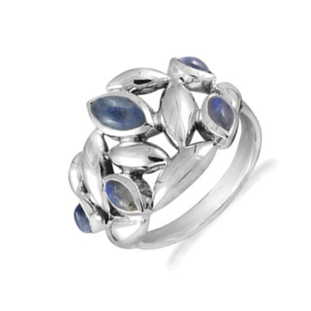 Zilveren ring