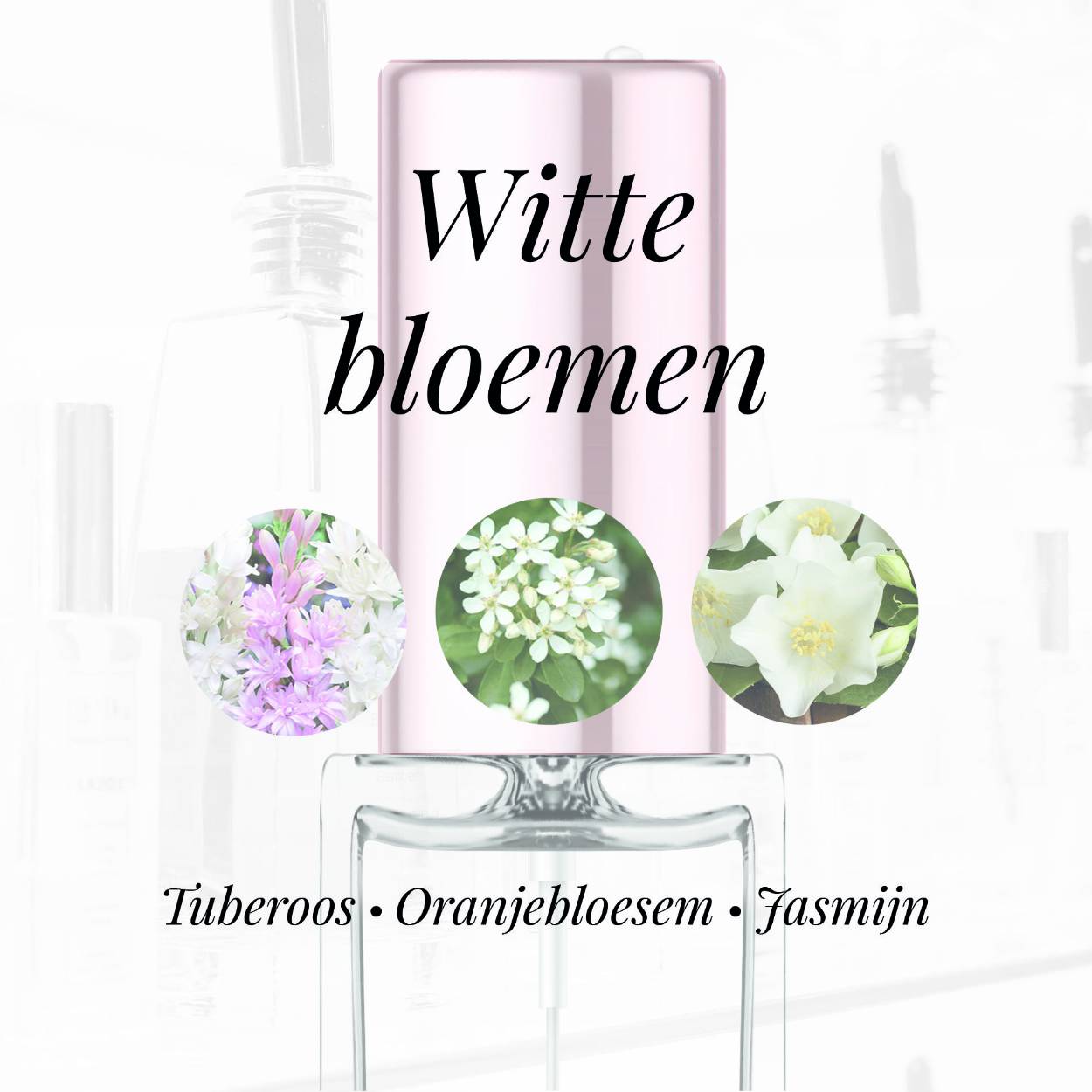 Eigenschappen
Geur: Witte bloemen
Waarneembare geuren: Tuberoos, Oranjebloesem, Jasmijn
Sillage: Midden
Seizoen: Lente/Zomer
Eigenschap: Populair
Stijl: Trendy

Geurgroep: Witte bloemen
Hoofdakkoorden: Witte bloemen, Citrus, tuberoos, Dierlijk
Top noten:Oranje bloesem, Bergamot
Midden noten: Tuberoos en Jasmijn
Basis noten: Witte Musk, Madagascar Vanille, en Ceder