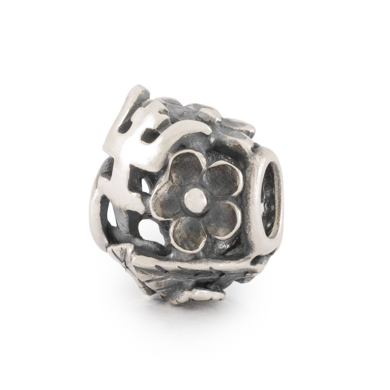 Trollbeads - Natuurwijsheid, Koester een lang leven vanuit de kracht van wijsheid - TAGBE-50047