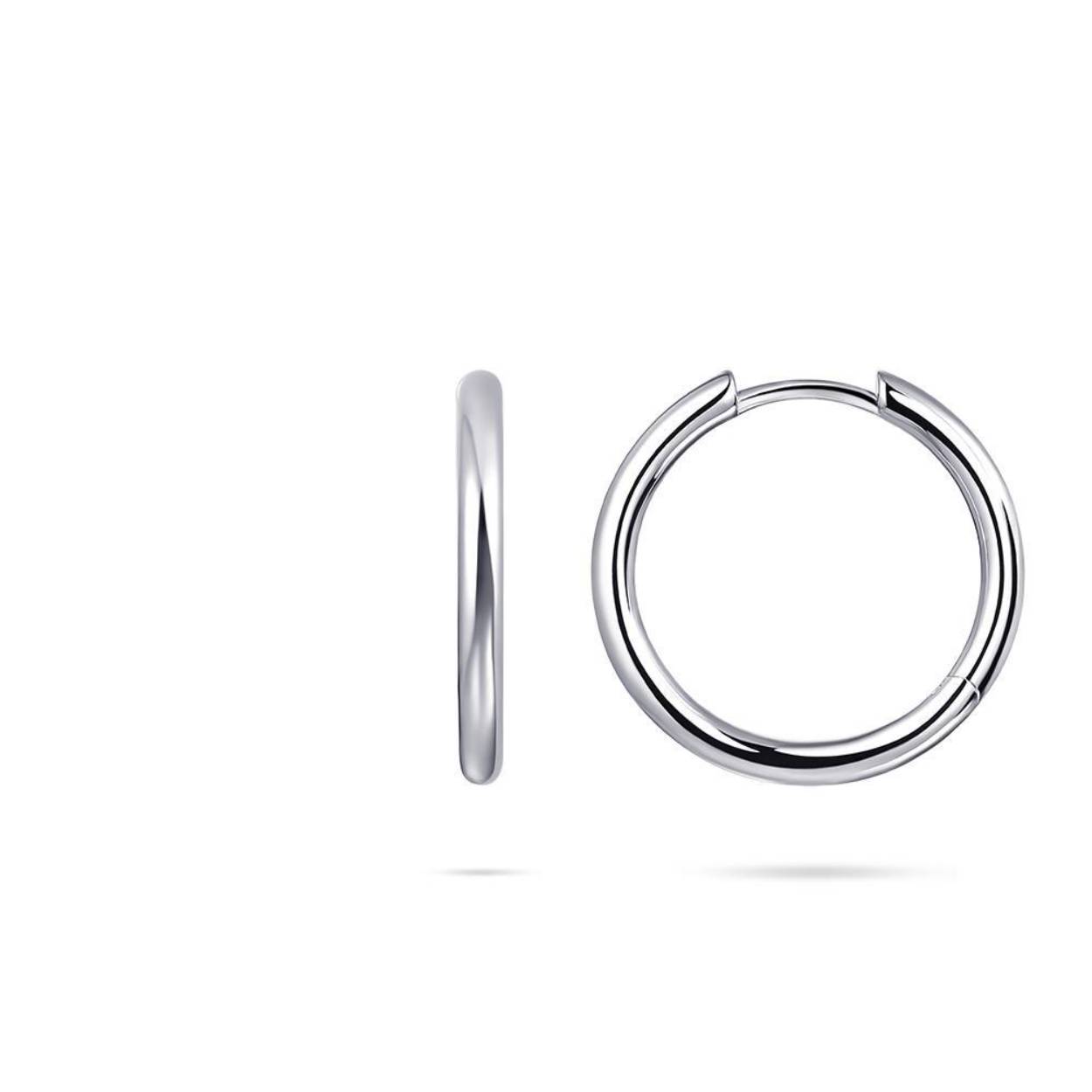 Zilveren glans oorringen met een schaniersluiting en een diameter van 20 mm en 2 mm dik 