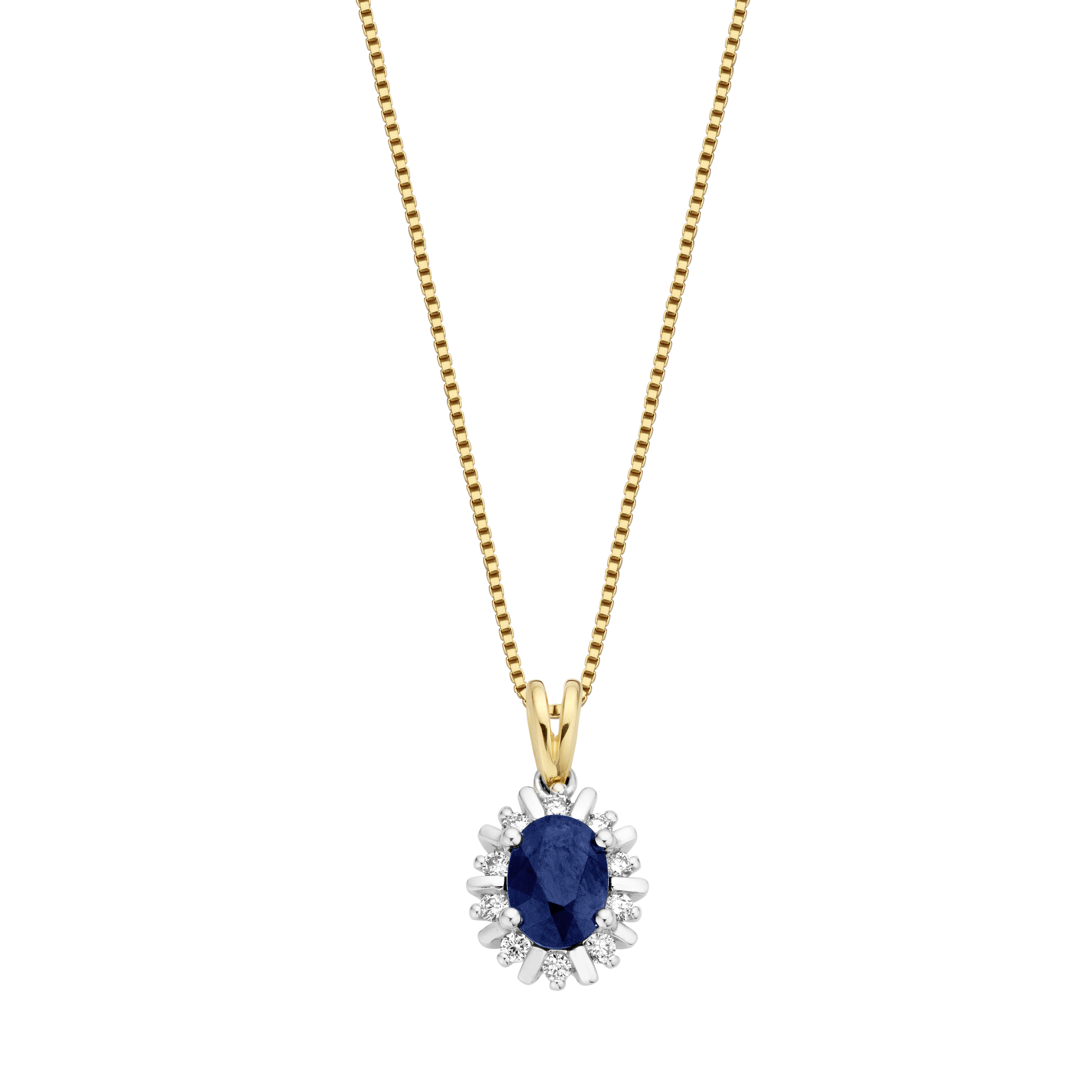 Saffier sieraden
Naast de briljant geslepen diamant is de saffier de meest gewilde kleursteen. Lady Diana en Lady Kate zijn beroemde van dragers van blauwe saffieren. De combinatie van saffieren met briljanten en goud is tijdloos, klassiek en schitterend. (excl. collier)
(gouden lady kate hanger 0.15crt diamant en blauwe saffier)