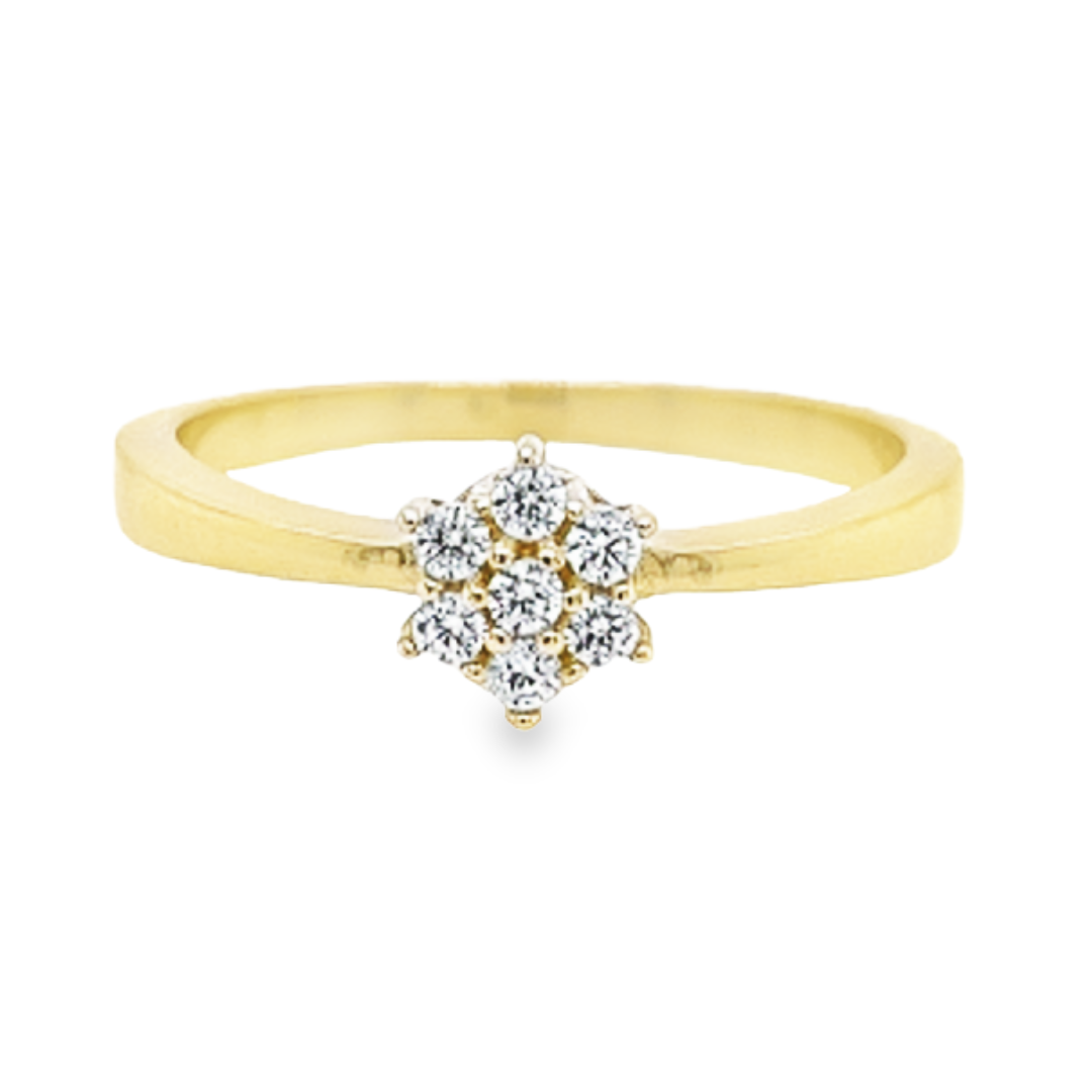 Deze geel gouden entourage ring heeft een werkelijk schitterende uitstraling. De meerdere zirkonia stenen zorgen voor deze prachtige schittering. Deze ring heeft een fijne en klassieke uitstraling.