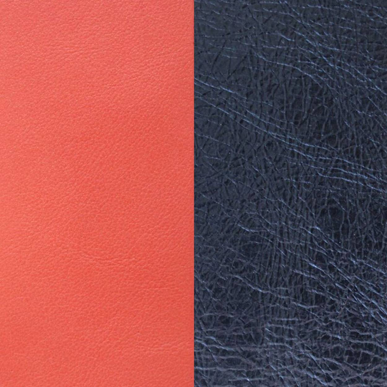 Prachtig sieraad van Les Georgettes
Coral And Metallic Blue